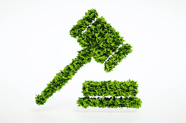 Assessoria legal para licenciamento ambiental