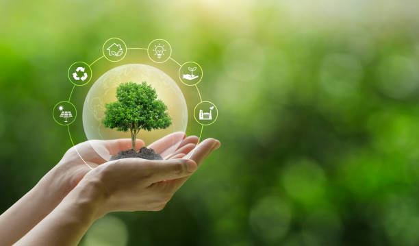 Consultoria ambiental especializada na Baixada Santista