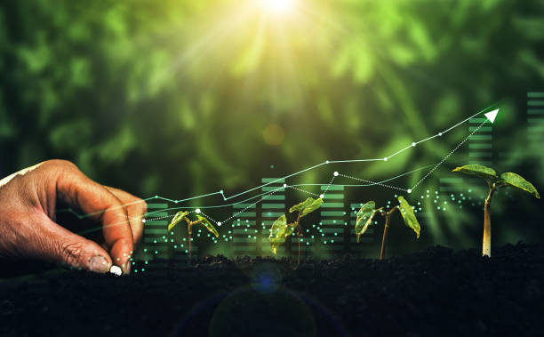 Consultoria ambiental especializada em Santos