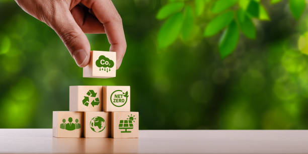 Consultoria jurídica ambiental