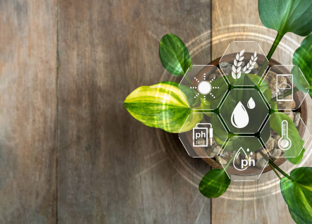 Licenciamento ambiental fepam em Santos